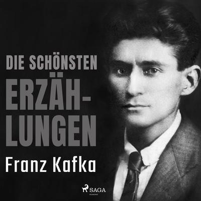 Die schönsten Erzählungen - Franz Kafka, Audio, 9788728223321