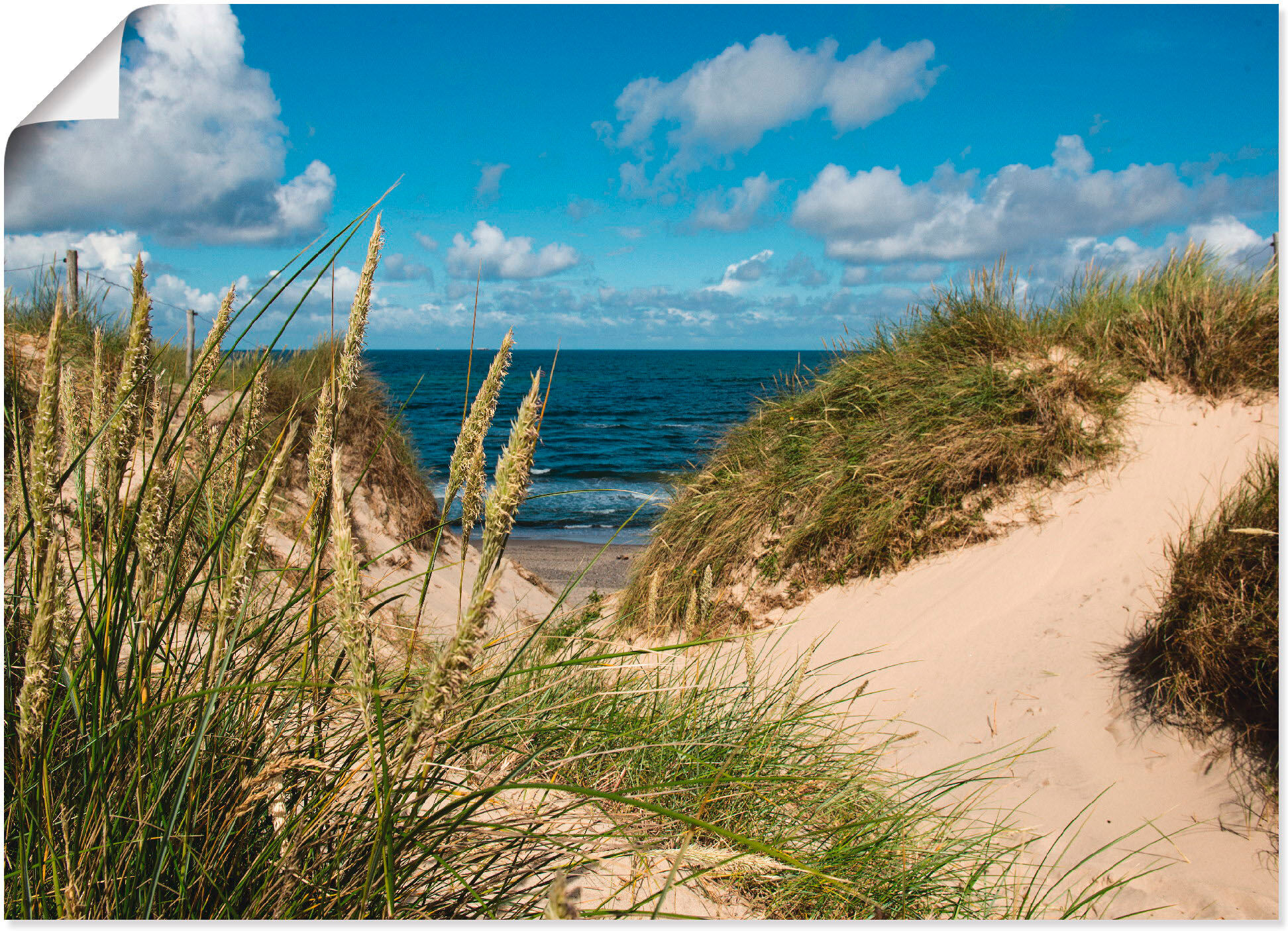 Poster ARTLAND "Strand bei Vesterhav", beige (farbe bild(er): naturfarben), B:70cm H:50cm, Bilder, Poster, ohne Rahmen farbe bild(er): naturfarben B/H/T: 70cm x 50cm, Poster Strand Querformat, 1 Stk.