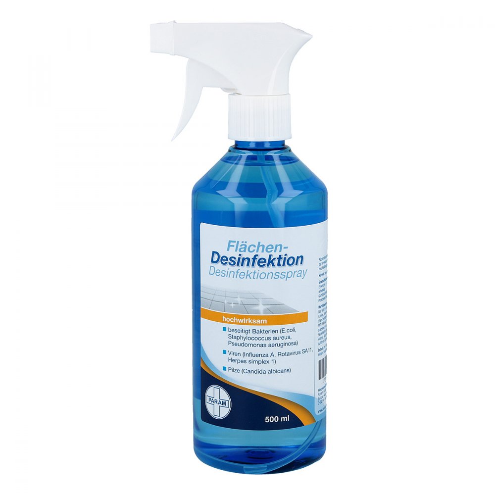 Param GmbH Desinfektionsspray für Flächen 09303989