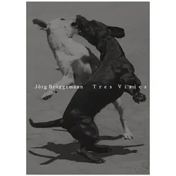 Jörg Brüggemann Tres Viajes, Fachbücher von Jörg Brüggemann