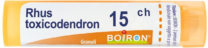 Boiron Rhus Toxicod Boi Gran 15Ch 4G