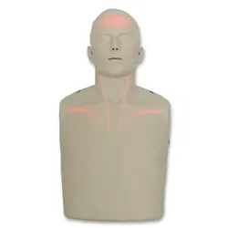 BRAYDEN Manikin - LED-System (rot)