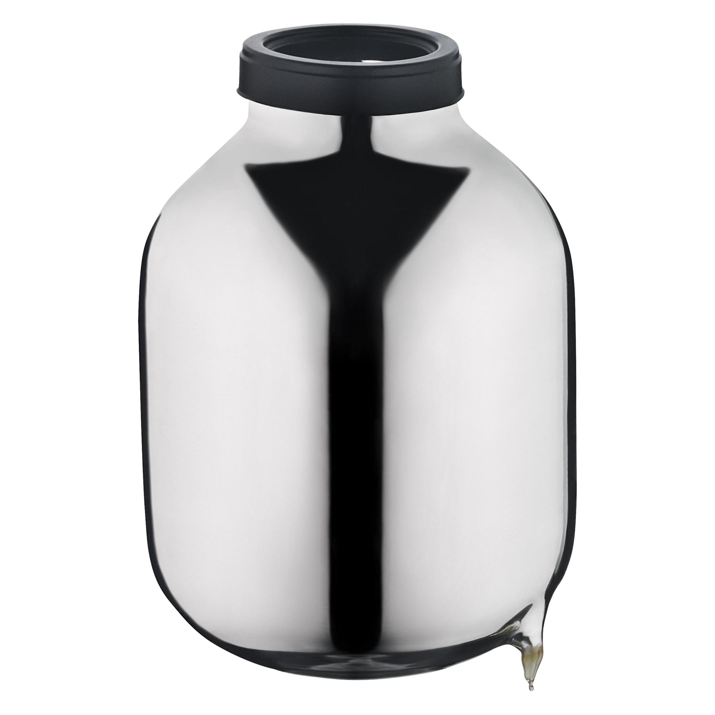 WMF Glaseinsatz für Teekanne (1 l) (3201006441)