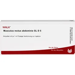 Musculus Rect Abdom Gl D 5 10 ML