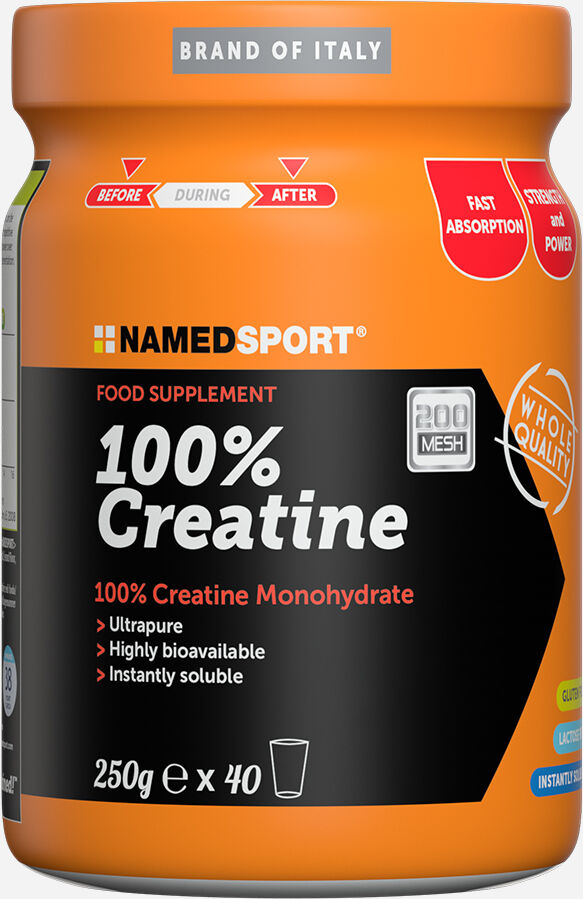 NAMED SPORT Creatina 100% 250g 200 Mesh - Creatina - Color Mix UNICA