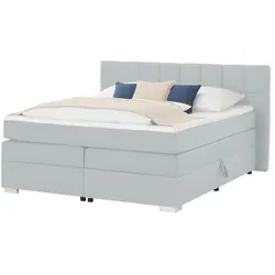 Boxspringbett   ¦ grau ¦ Maße (cm): B: 202 H: 111