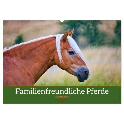 Familienfreundliche Pferde (Wandkalender 2027 DIN A2 quer), CALVENDO Monatskalender