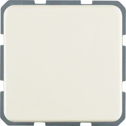 Berker Steckdose ws 4715
