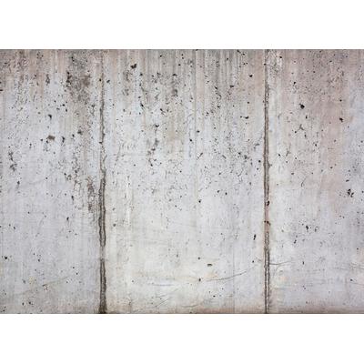 Fototapete LIVING WALLS "Beton", bunt, B:3,5m L:2,55m, Vlies, Tapeten, Fototapete Floral Grau weiß 3,50 m x 2,55 m Tapete