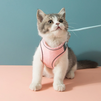 PetsAreLife Cat Harness And Leash For Walking   Adjustable Kitten Escape Proof Harnesses   Luminous Cat Harness & Leash Set Pink S