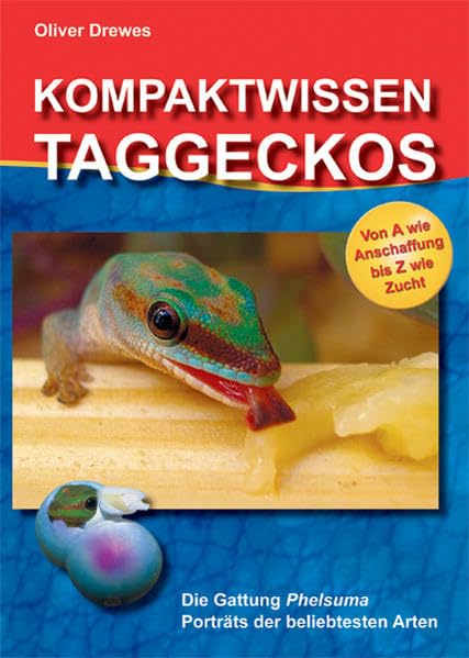 Oliver Drewes - Kompaktwissen Taggeckos: Die Gattung Phelsuma. Porträts der beliebtesten Arten. Von A wie Anschaffung bis Z wie Zucht - Preis vom 13.10.2026 11:25:28 h
