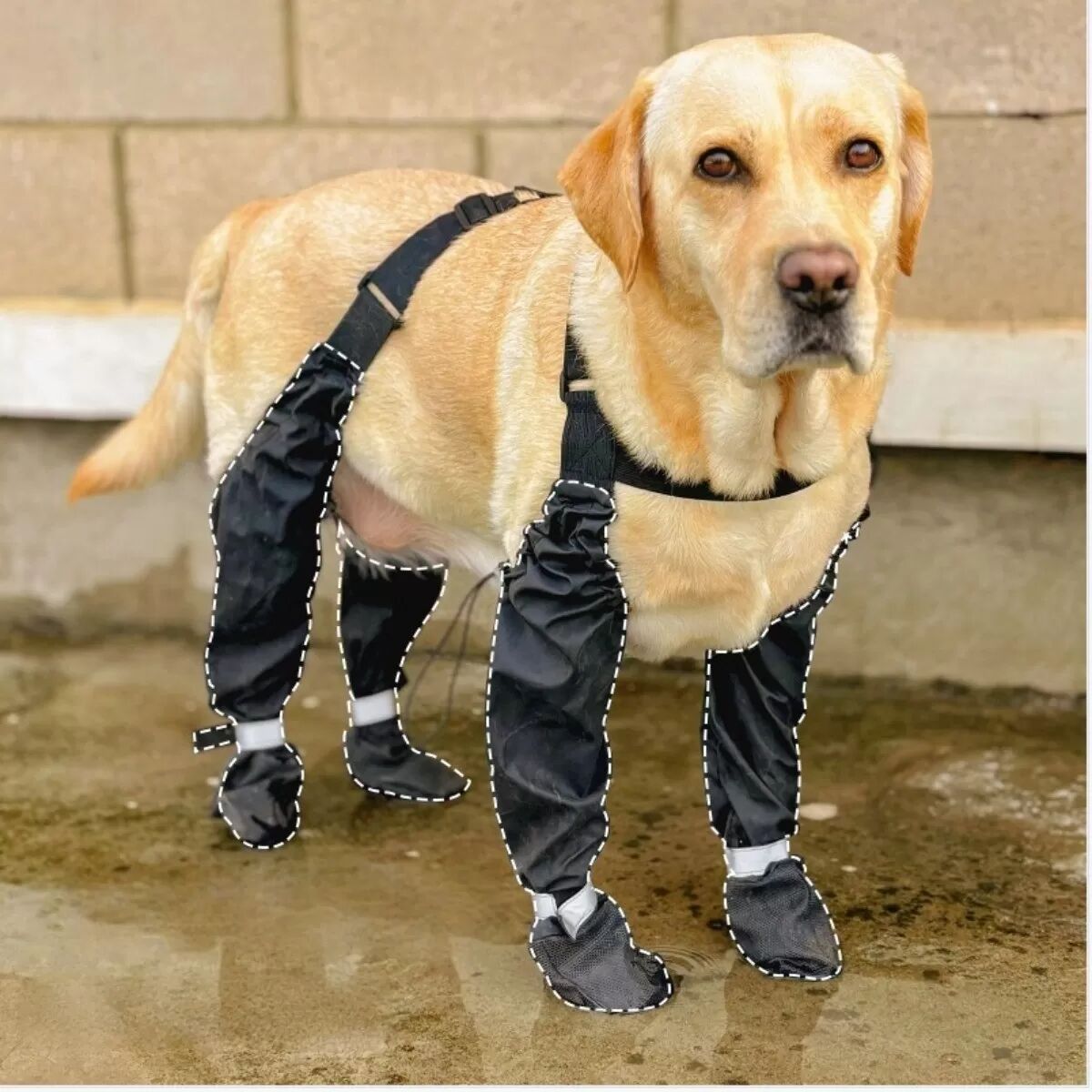 INF Petites chaussures d'extérieur anti-chute/anti-saleté/étanches pour animaux