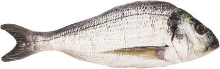 Stofftier "Fisch", 55 cm