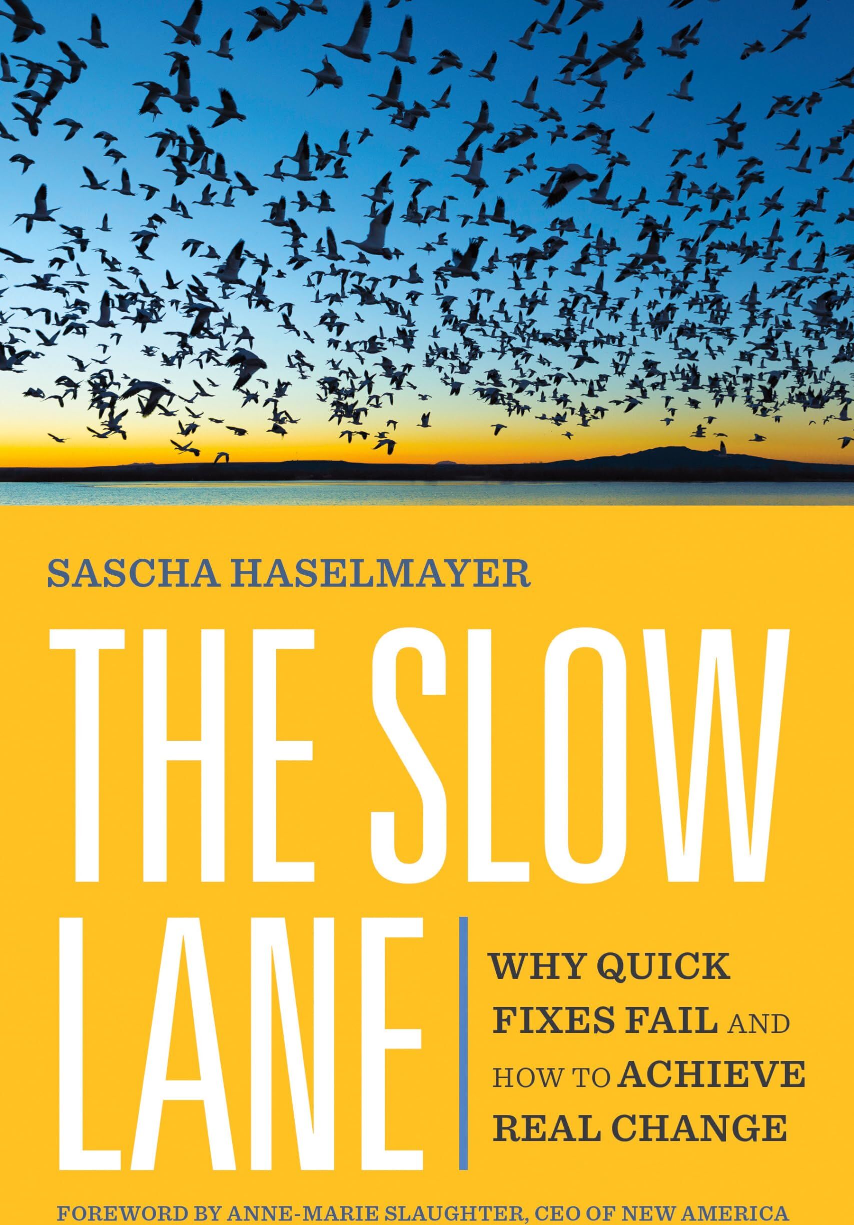 Sascha Haselmayer - The Slow Lane: Why Quick Fixes Fail and How to Achieve Real Change - Preis vom 10.10.2026 11:48:34 h
