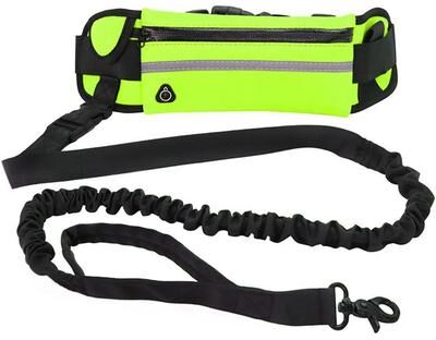 Inspired Living Hands Free Running Dog Leash With Reflective Elastic Belt & Waist Bag green