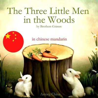 The Three Little Men in the Woods - The Brothers Grimm, Audio, 9782821115828