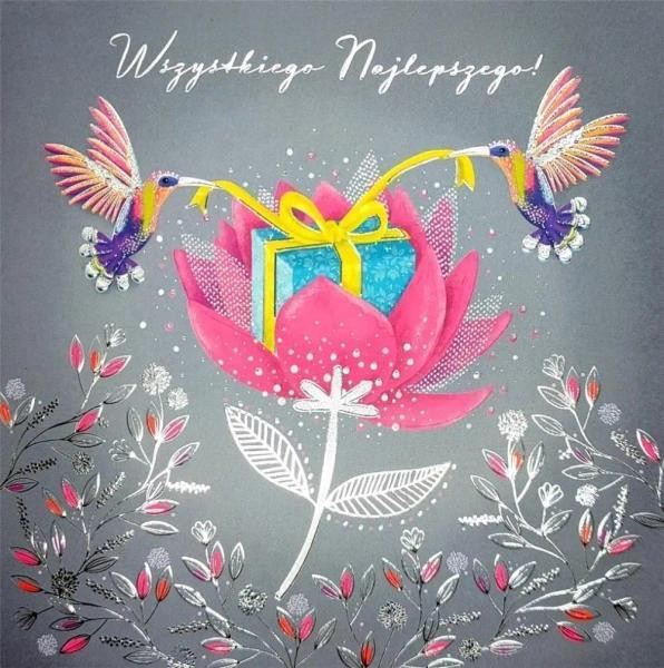 Henry Karnet KW TŁ Presentatie Kolibries