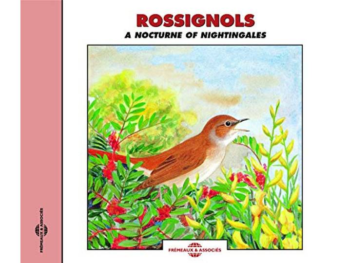 Sound Effects-Birds - Nightingales / Rossignols