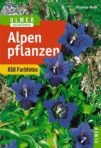 Thomas Muer - Alpenpflanzen - Preis vom 19.10.2026 19:33:35 h