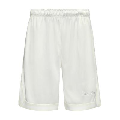 Dropsize "Dropsize Herren Dropsize Logo Mesh Shorts"