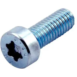 Cubic, Zubehör Präsentieren, 100 CYLINDERSKRUE, TORX, LAVT HOVED