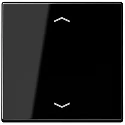 Jung Wippe Symbole sw A590 P SW A590PSW