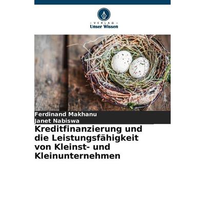 Kreditfinanzierung und die Leistungsfähigkeit von Kleinst- und Kleinunternehmen, Taschenbuch von Ferdinand Makhanu,Janet Nabiswa, Verlag Unser Wissen,