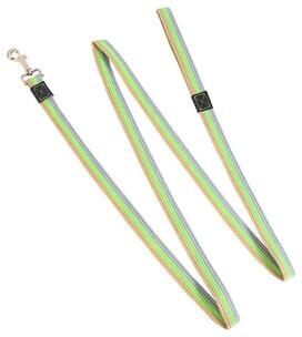 Happy Pet Pantry Non Slip Rubber Nylon Dog Leash   Training & Walking Rope 2.5cmX150cm 2