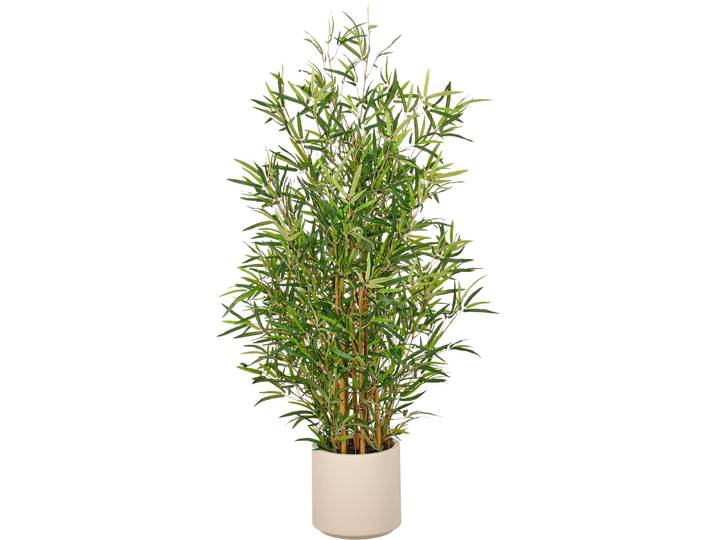 Kunstbambus CREATIV GREEN Bambus fargesia , grün, H:130cm, Obermaterial: 75% Polyester, 25% Kunststoff, Kunstpflanzen, Kunstbambus, mit naturgetreuem Blattwerk