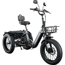 Remington R100 E Bike Elektro Dreirad 20 Zoll Elektrodreirad mit 2 Akkus bis 120 km Pedelec City mit tiefem Einstieg klappbar