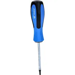 Brilliant Tools Schraubendreher TORX - BT031012