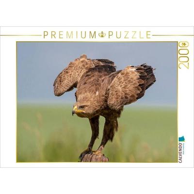 CALVENDO Puzzle SCHREIADLER (Clanga pomarina) adult | 2000 Teile Lege-Größe 90x67cm Foto-Puzzle für glückliche Stunden