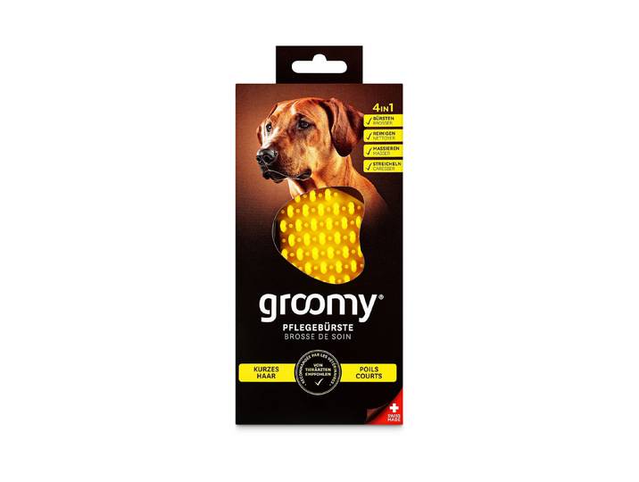 Groomy Kurzhaar Silikon Bürste Hund