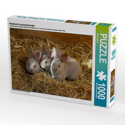 CALVENDO Puzzle Niedliche Kaninchenkinder | 1000 Teile Lege-Größe 64x48cm Foto-Puzzle für glückliche Stunden