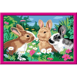 Ravensburger 28517 Malen-nach-Zahlen CreArt, ab 9 Jahre, Putzige Häschen, mit Rahmen, 21 x 31 cm