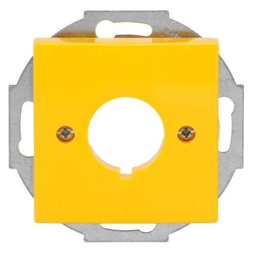 Busch-Jaeger Zentralscheibe (2CKA001724A4345)