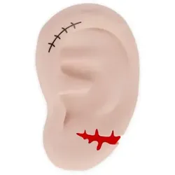 Legami Radiergummi Ear We Go Again (Halloween)