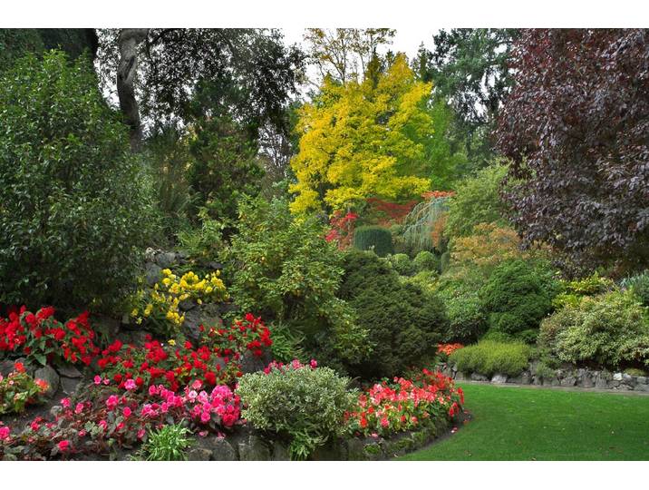 Fototapete PAPERMOON Fluss in Garten , bunt, B:3m L:2,23m, Vlies, Tapeten, Fototapete