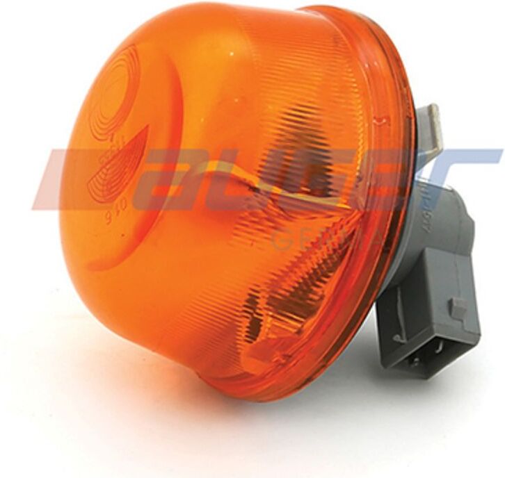 Blinkleuchte AUGER 93012