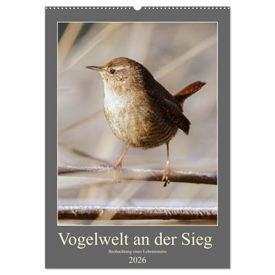 Vogelwelt an der Sieg (Wandkalender 2026 DIN A2 hoch), CALVENDO Monatskalender