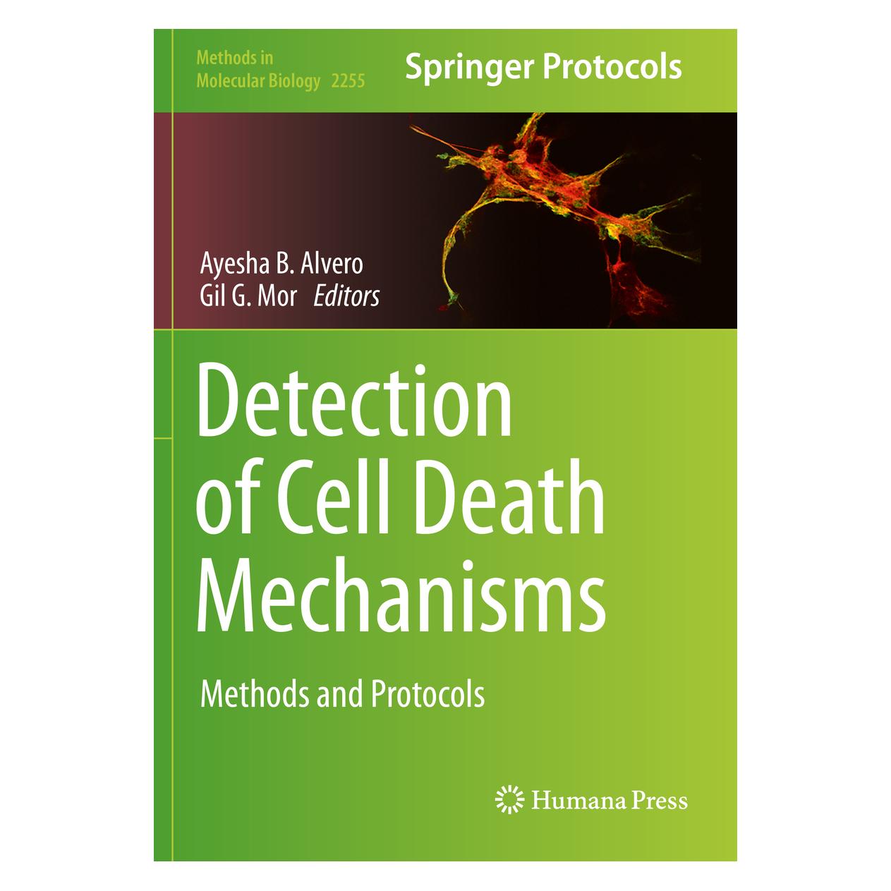 Springer Detection of Cell Death Mechanisms (Englisch, Hardcover, Ayesha B. Alvero, Gil G. Mor) (9781071611616)