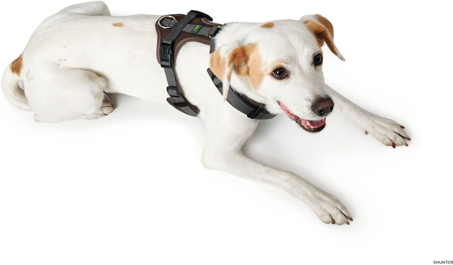 DOG SPORT HUNTER Geschirr Maldon XS, braun/grau