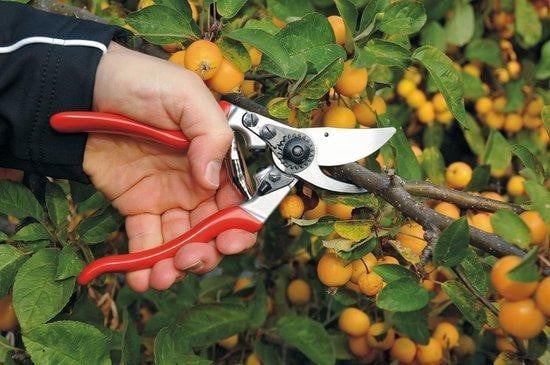 Unyqoos Ergonomische links-handige tuinschaar met gehard stalen mes, 210 mm