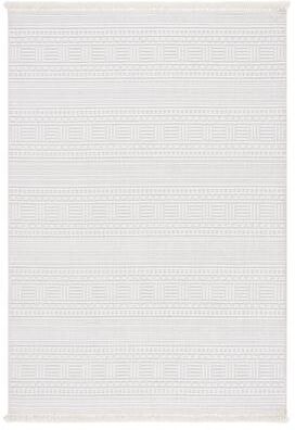 SAFAVIEH Camden Jiske Rustic Rug