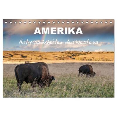 Amerika - Naturschönheiten des Westens (Tischkalender 2026 DIN A5 quer), CALVENDO Monatskalender