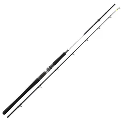 Daiwa Grandwave BC 2.25m 30-40lbs Heilbutt-Meeresrute