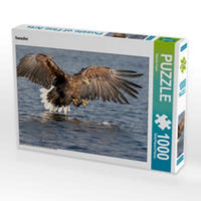 CALVENDO Puzzle Seeadler | 1000 Teile Lege-Größe 64x48cm Foto-Puzzle für glückliche Stunden