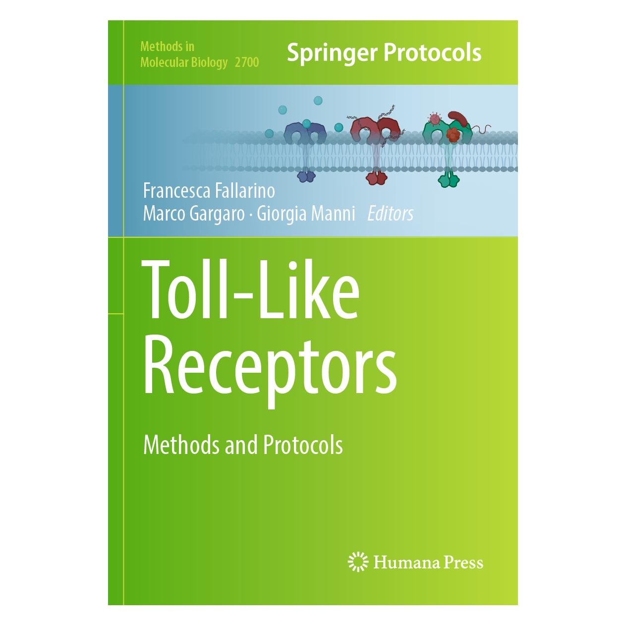 Springer Toll-Like Receptors (Englisch, Softcover, Francesca Fallarino, Giorgia Manni, Marco Gargaro) (57112472)