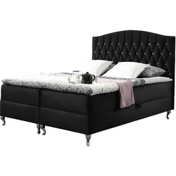 BOXBETT Puerto - H3