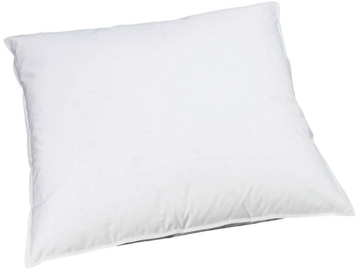 BILLERBECK EDITIONNaturkissen REVE DOWN BASIC 65x65cm